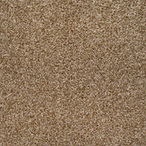 Carpet With Attached Pad Wayfair